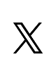 公式X